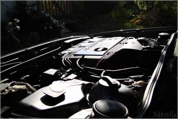 Motor Passat VR6 3
